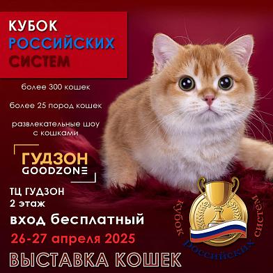 Всероссийская выставка кошек «Кубок Российских Систем» в ТРЦ «Гудзон»